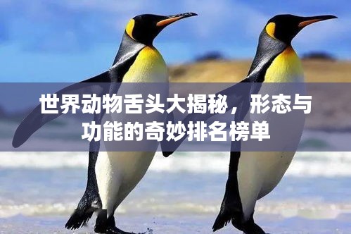 世界动物舌头大揭秘，形态与功能的奇妙排名榜单