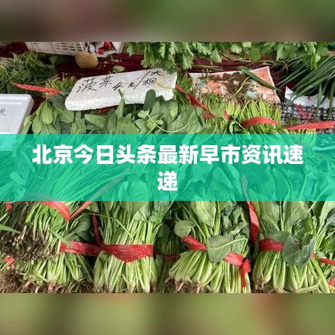 北京今日头条最新早市资讯速递