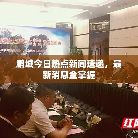 鹏城今日热点新闻速递，最新消息全掌握