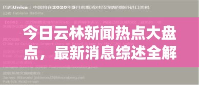 今日云林新闻热点大盘点，最新消息综述全解析