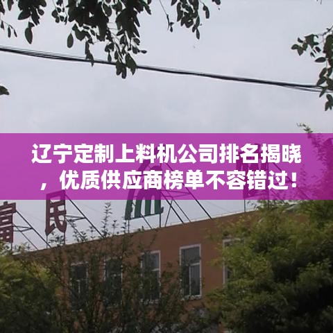 辽宁定制上料机公司排名揭晓，优质供应商榜单不容错过！