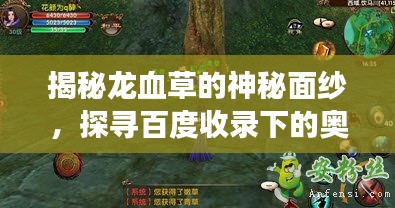 揭秘龙血草的神秘面纱，探寻百度收录下的奥秘之旅