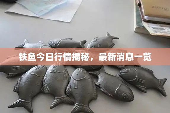 铁鱼今日行情揭秘，最新消息一览