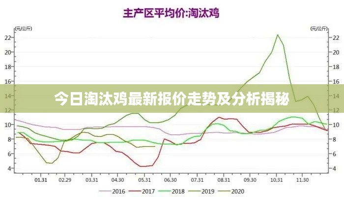 今日淘汰鸡最新报价走势及分析揭秘