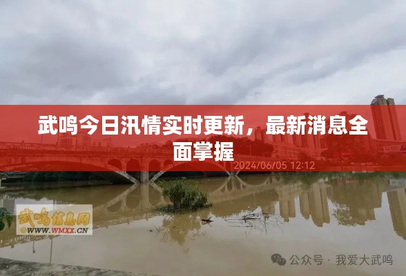 武鸣今日汛情实时更新，最新消息全面掌握