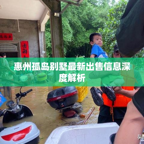 惠州孤岛别墅最新出售信息深度解析