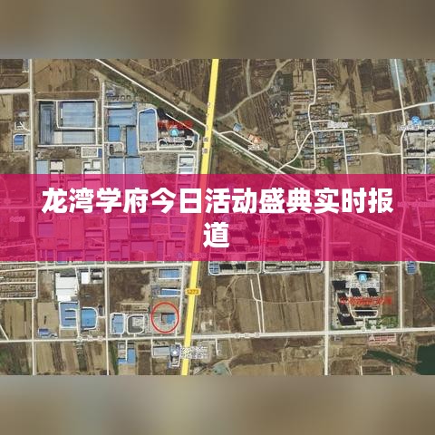 龙湾学府今日活动盛典实时报道