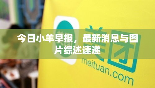 今日小羊早报，最新消息与图片综述速递