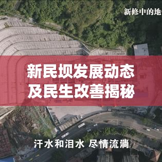新民坝发展动态及民生改善揭秘，最新新闻头条