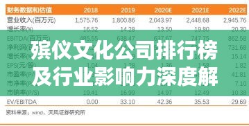 殡仪文化公司排行榜及行业影响力深度解析