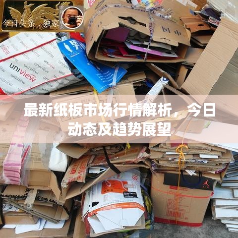 最新纸板市场行情解析，今日动态及趋势展望