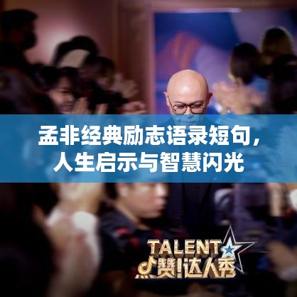 孟非经典励志语录短句，人生启示与智慧闪光
