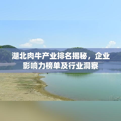 湖北肉牛产业排名揭秘，企业影响力榜单及行业洞察