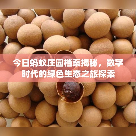 今日蚂蚁庄园档案揭秘，数字时代的绿色生态之旅探索