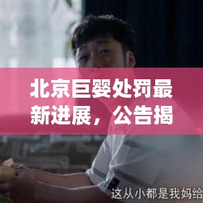 北京巨婴处罚最新进展，公告揭示最新消息