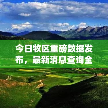 今日牧区重磅数据发布，最新消息查询全解析
