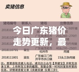 今日广东猪价走势更新，最新动态与市场趋势分析