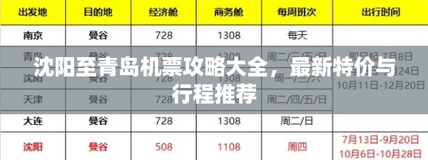 沈阳至青岛机票攻略大全，最新特价与行程推荐