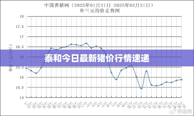 泰和今日最新猪价行情速递