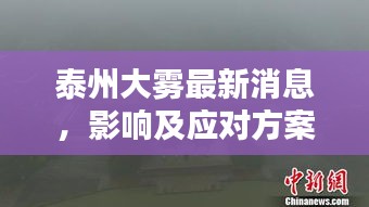 泰州大雾最新消息，影响及应对方案全解析