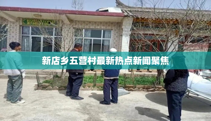 新店乡五营村最新热点新闻聚焦