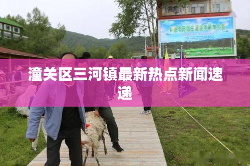 潼关区三河镇最新热点新闻速递