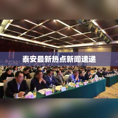泰安最新热点新闻速递