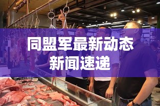 同盟军最新动态新闻速递