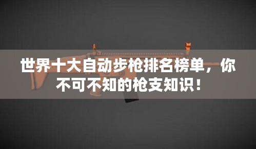 世界十大自动步枪排名榜单，你不可不知的枪支知识！