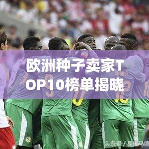 欧洲种子卖家TOP10榜单揭晓