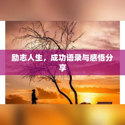 励志人生，成功语录与感悟分享