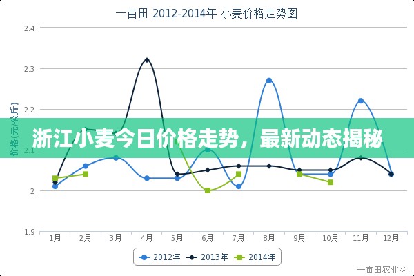 浙江小麦今日价格走势，最新动态揭秘