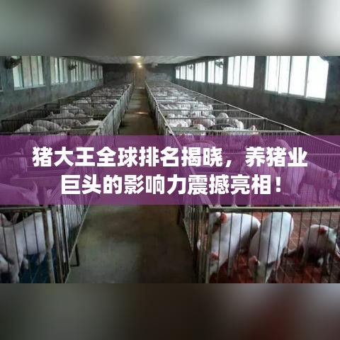 猪大王全球排名揭晓，养猪业巨头的影响力震撼亮相！