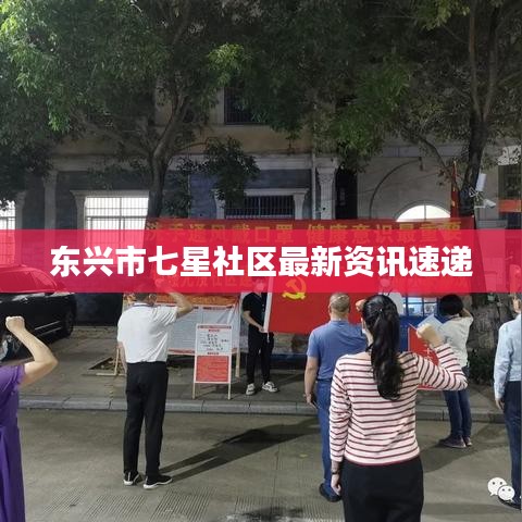 东兴市七星社区最新资讯速递