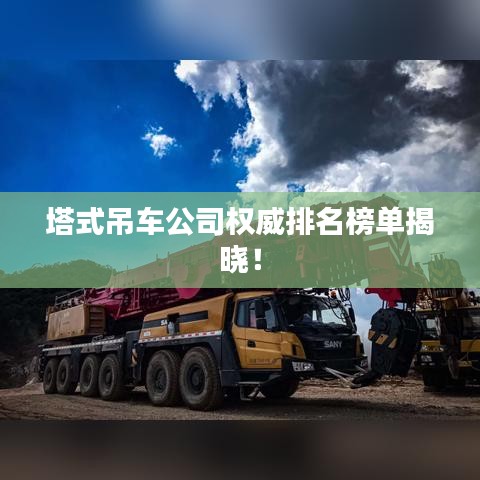 塔式吊车公司权威排名榜单揭晓！