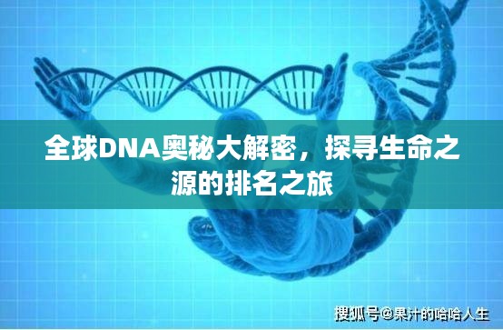 全球DNA奥秘大解密，探寻生命之源的排名之旅