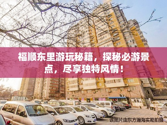 福顺东里游玩秘籍，探秘必游景点，尽享独特风情！