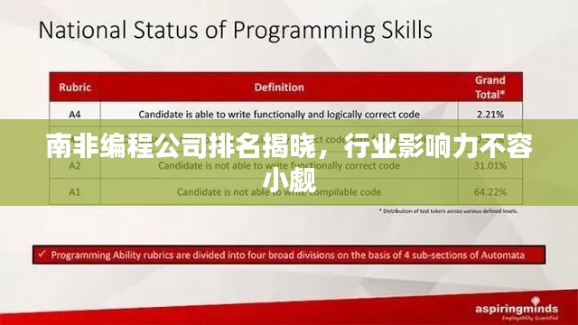 南非编程公司排名揭晓，行业影响力不容小觑
