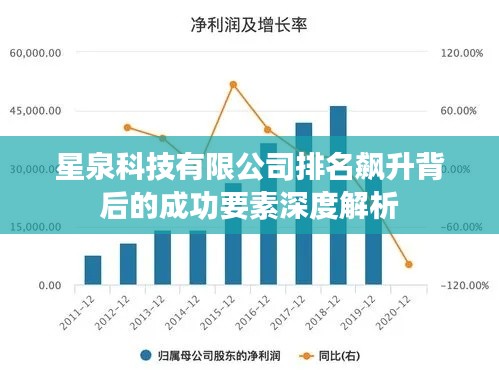 星泉科技有限公司排名飙升背后的成功要素深度解析