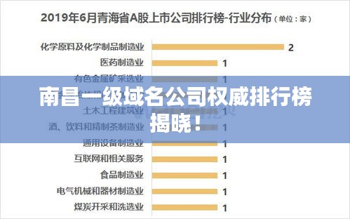 南昌一级域名公司权威排行榜揭晓！