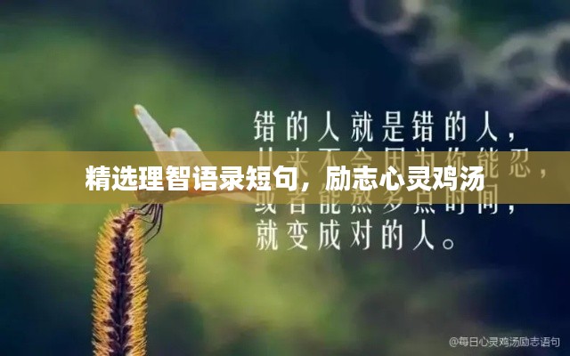 精选理智语录短句，励志心灵鸡汤