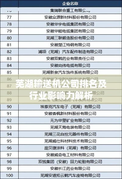 芜湖输送机公司排名及行业影响力解析