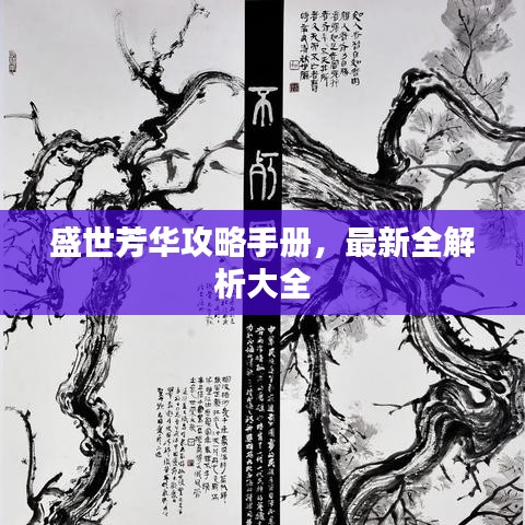盛世芳华攻略手册，最新全解析大全