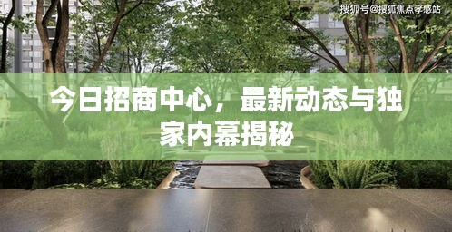 今日招商中心，最新动态与独家内幕揭秘