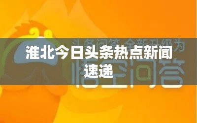 衣不完采