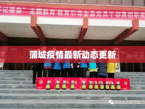 蒲城疫情最新动态更新