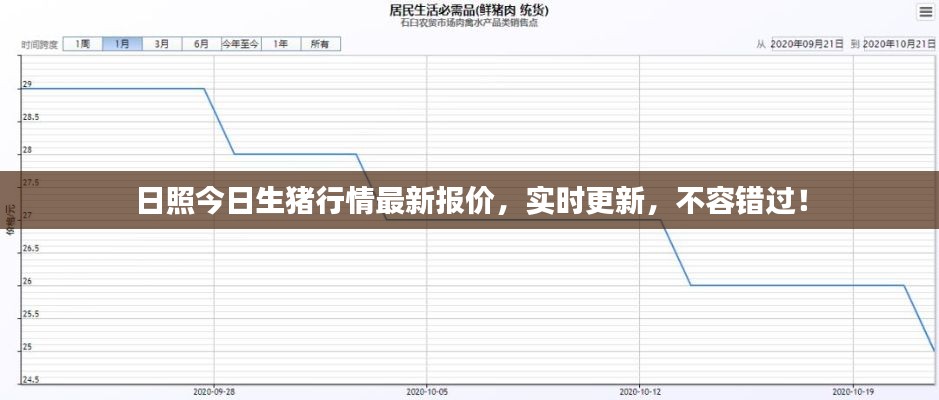 日照今日生猪行情最新报价，实时更新，不容错过！