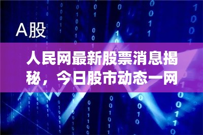 人民网最新股票消息揭秘，今日股市动态一网打尽