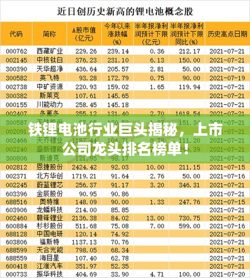 铁锂电池行业巨头揭秘，上市公司龙头排名榜单！