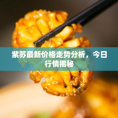 眉目如画